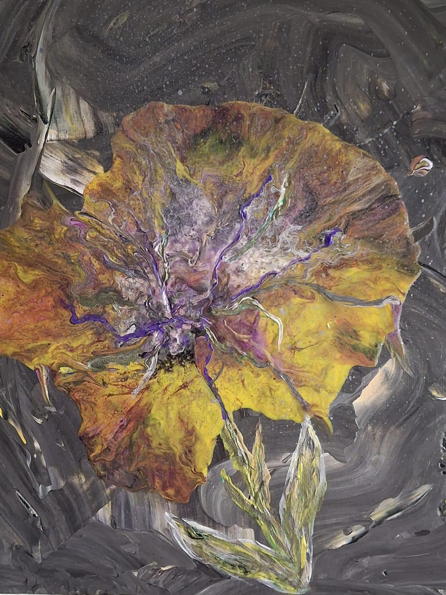 Mohn auf Graphit – Mixed Media